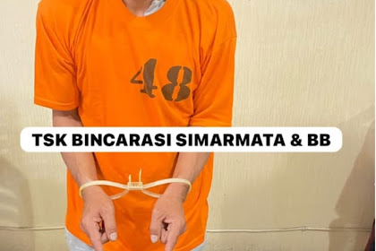 Polres Tanah Karo Amankan Pengedar Narkoba, Barang Bukti 22 Paket Sabu dan Biji Ganja