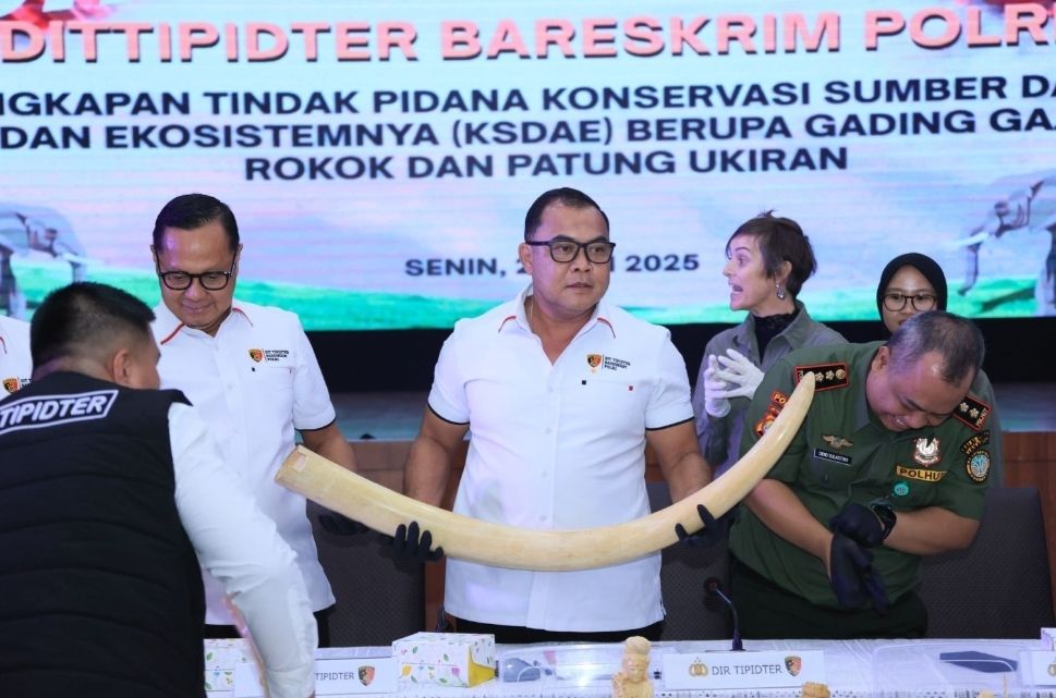Polri Gagalkan Penyeludupan Gading dan Patung Ukiran Senilai Rp2,3 M